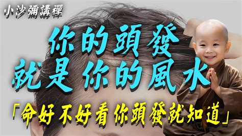 頭髮風水|【頭髮的風水學】你的髮型決定命運！揭秘頭髮與人生運勢的神秘。